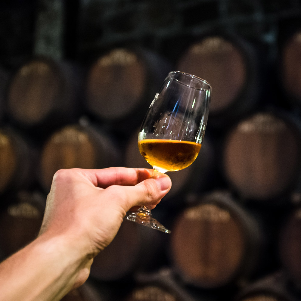 Cognac glass in cellar