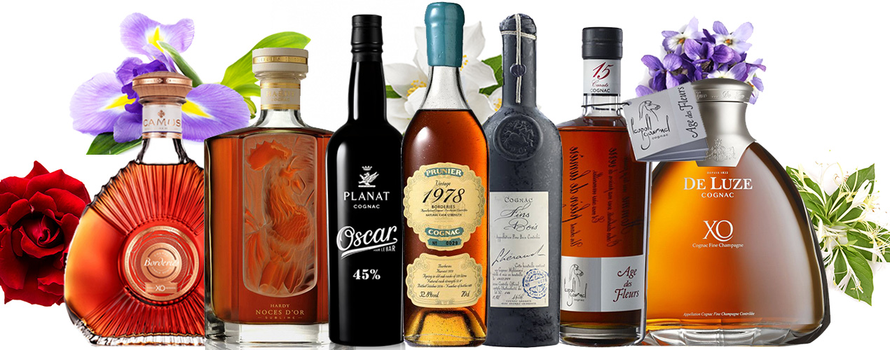 Floral Cognacs Overview