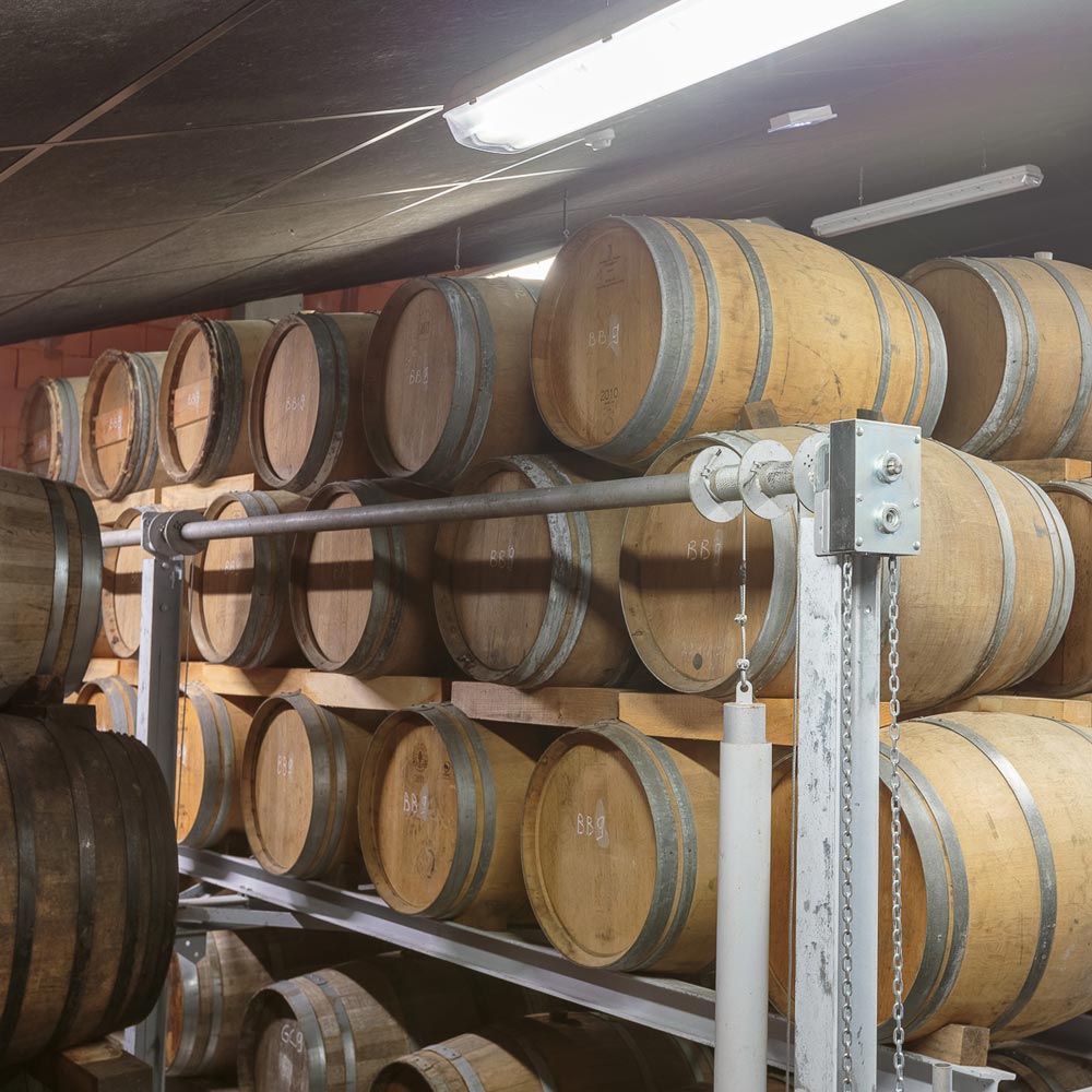 B2B project bulk cognac barrels in cellar