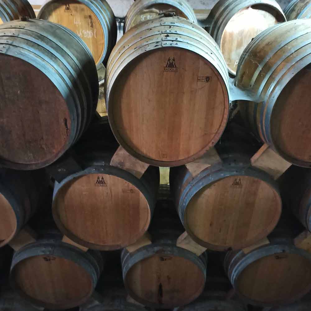 barrels in cellar