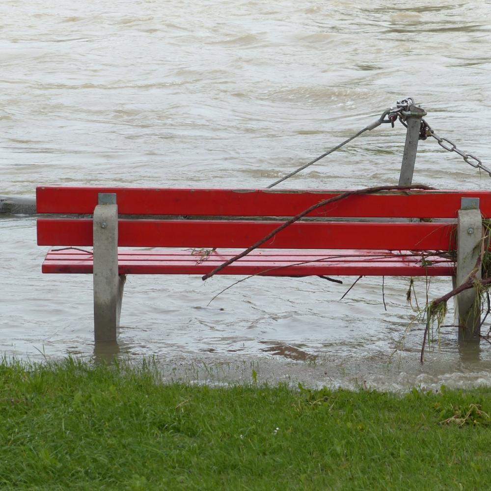 Bench standing in flooded area